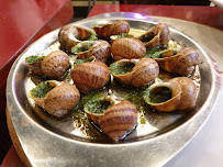Escargot du Restaurant de fruits de mer Le Petit Commerce à Bordeaux - n°7