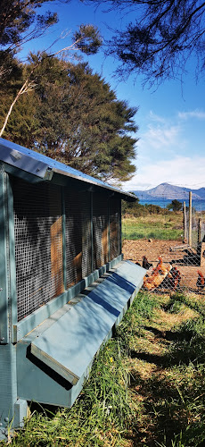 https://outpostbuildings.co.nz/