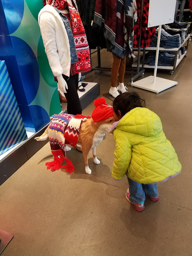 Clothing Store «Old Navy», reviews and photos, 19401 Alderwood Mall Pkwy, Lynnwood, WA 98036, USA