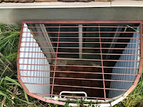 Tusa Pest Control, LLC - Photo 8 - Car repair in Roy, UT, Ogden