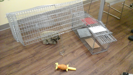 Pet Supply Store «PetPeople», reviews and photos, 3330 Washtenaw Ave, Ann Arbor, MI 48104, USA