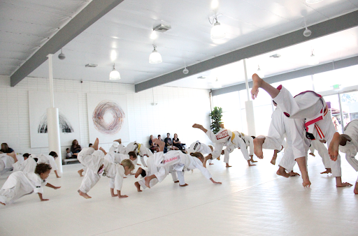 Art of Jiu Jitsu Academy image