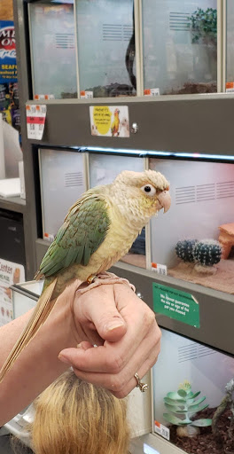 Pet Supply Store «Pet Supplies Plus», reviews and photos, 115 Richard B. Russell Parkway suite-110, Warner Robins, GA 31088, USA