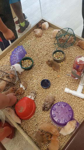 Pet Store «Petland Topeka», reviews and photos, 1801 SW Wanamaker Rd, Topeka, KS 66614, USA