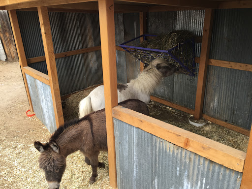 Animal Feed Store «Wardle Feed and Pet Supply», reviews and photos, 7610 3 Acre Ln, Wheat Ridge, CO 80033, USA