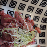 Photo n°1 de l'avis de Patrizia.u fait le 14/05/2024 à 18:10 sur le  Ristorante Barbagianni à Pescaglia