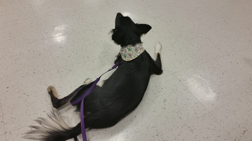 Pet Supply Store «PetSmart», reviews and photos, 57 NJ-23, Wayne, NJ 07470, USA