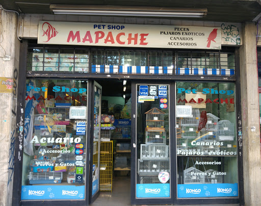 Mapache Pajarería Acuario