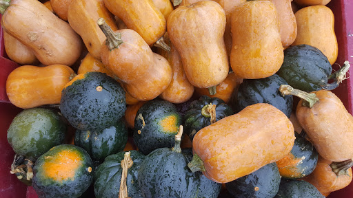 Produce Market «Sunscape Farms», reviews and photos, 1420 Creek St, Rochester, NY 14625, USA