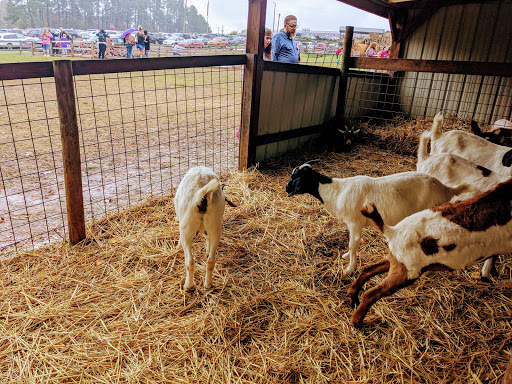 Farm «Jaemor Farms», reviews and photos, 5340 Cornelia Hwy, Alto, GA 30510, USA