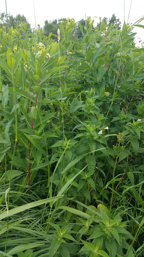 Nature Preserve «Rudy Kraemer Nature Preserve», reviews and photos, 12799 Chowen Ave S, Burnsville, MN 55337, USA