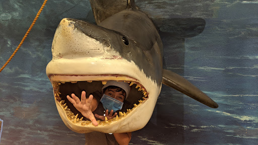 Sporting Goods Store «Bass Pro Shops», reviews and photos, 5900 Sugarloaf Pkwy, Lawrenceville, GA 30043, USA