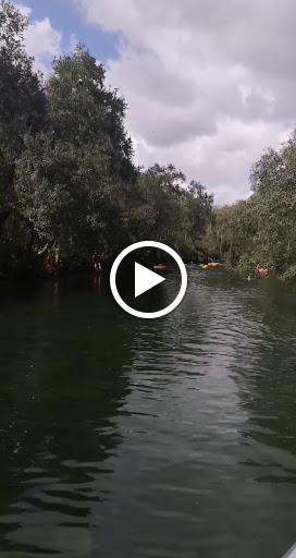 Ice Cream Shop «Rodeo Whip», reviews and photos, 1250 S Woodland Blvd, DeLand, FL 32720, USA