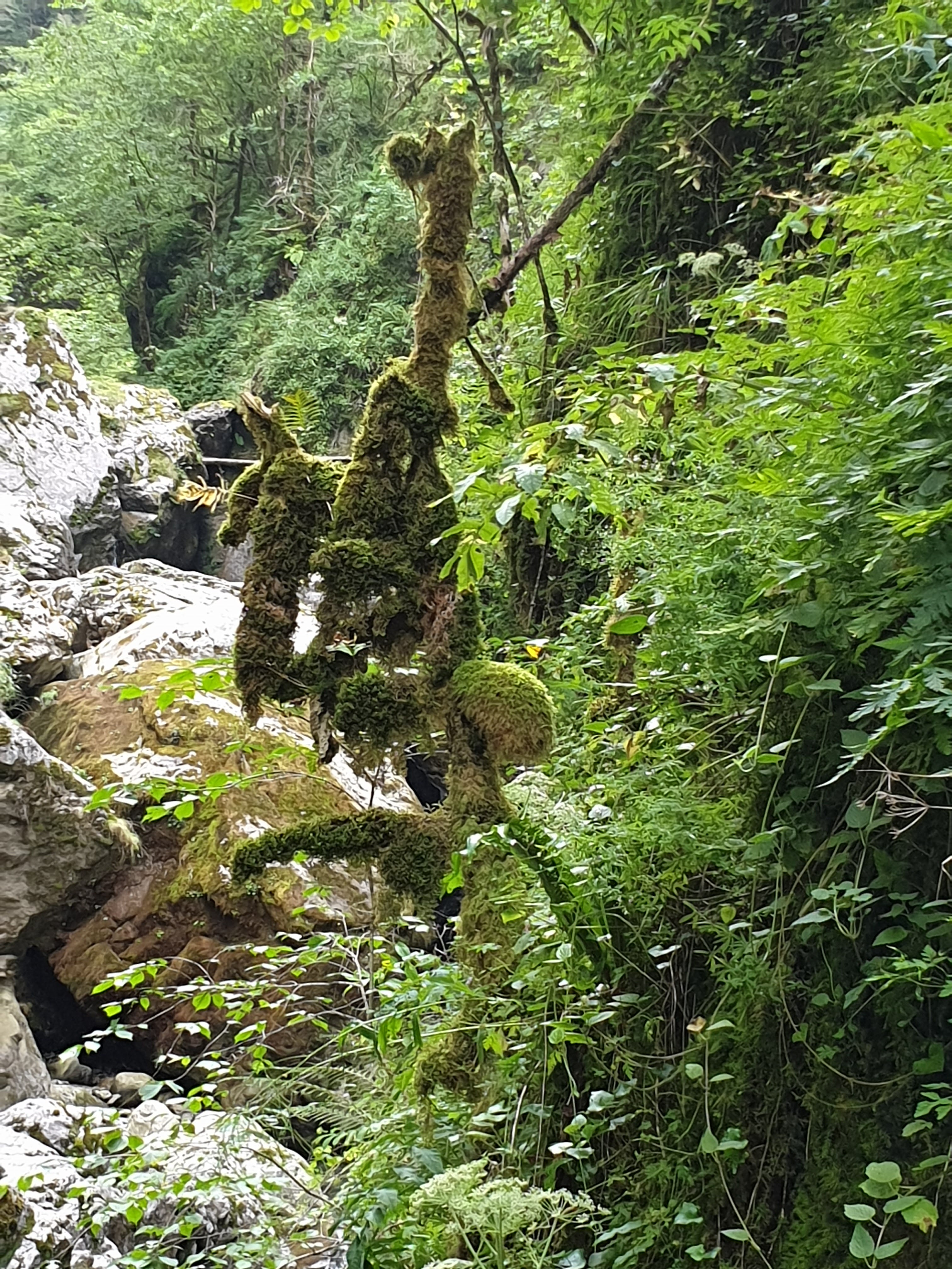 Photo n° 5 de l'avis de ROUSSEAU.o fait le 04/09/2019 à 08:25