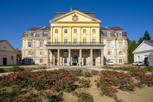 Értékelések erről a helyről: Dr. Batthyány-Strattmann László Múzeum, Körmend - Múzeum