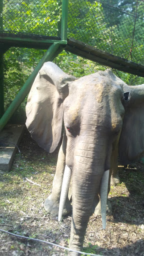 Resort «Six Flags Great Escape Lodge & Indoor Water park», reviews and photos, 89 Six Flags Drive, Queensbury, NY 12804, USA