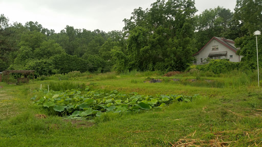 Tropical Fish Store «William Tricker Inc», reviews and photos, 7125 Tanglewood Dr, Cleveland, OH 44131, USA