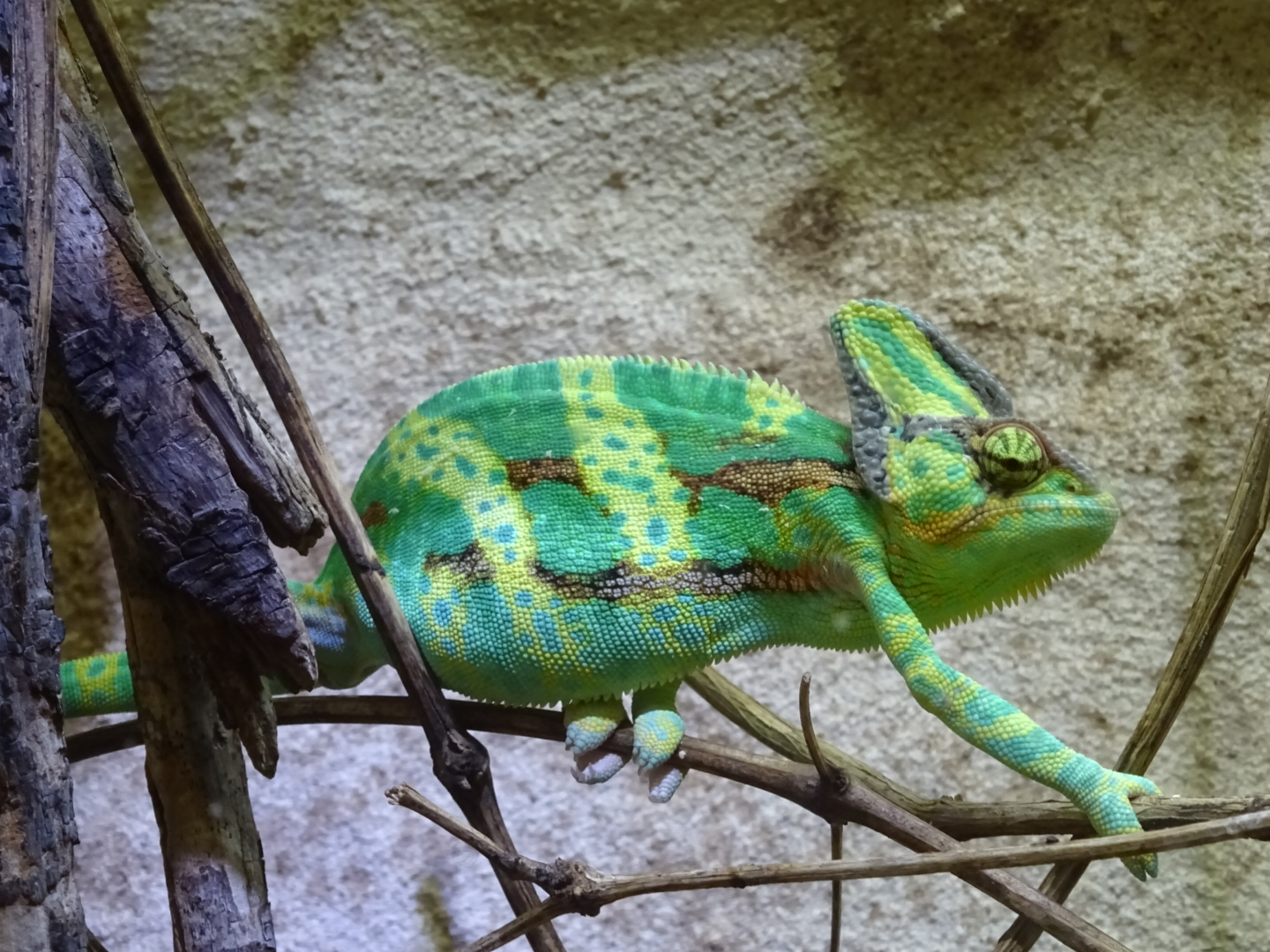 Photo n° 2 de l'avis de GONZALEZ.a fait le 23/08/2019 à 20:37