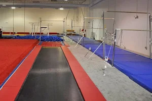 Southlake Gymnastics Academy image