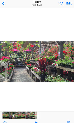 Florist «Perennial Gardens, Inc», reviews and photos, 414 Old Post Rd, Bedford, NY 10506, USA