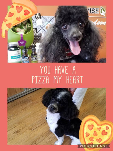 Pet Supply Store «EarthWise Pet Supply - Richardson», reviews and photos, 1310 W Campbell Rd #128, Richardson, TX 75080, USA