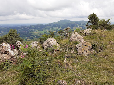 Adarre à Macaye