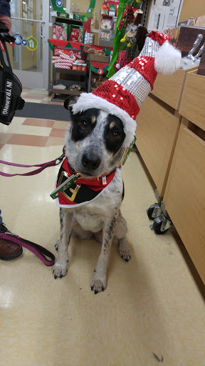 Pet Supply Store «Petco Animal Supplies», reviews and photos, 26209 104th Ave SE, Kent, WA 98030, USA