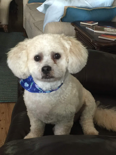 Pet Supply Store «North Tampa PET DEPOT», reviews and photos, 16033 Tampa Palms Blvd W, Tampa, FL 33647, USA