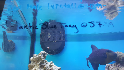 Pet Groomer «We Lov Pets», reviews and photos, 3853 Northpointe Dr, Zanesville, OH 43701, USA