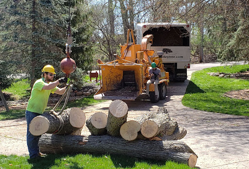 Arbor Valley Tree Service