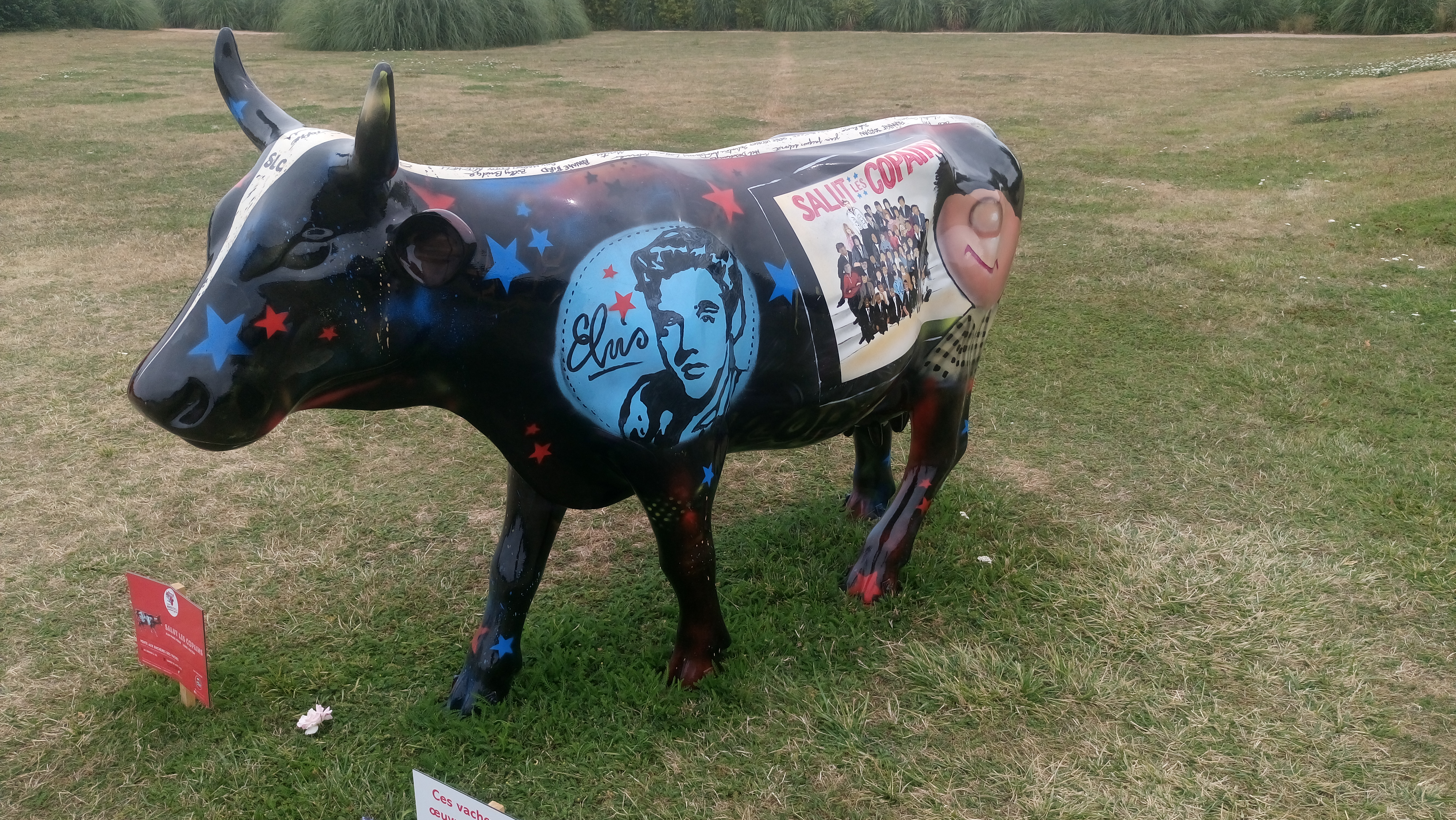 Photo n° 2 de l'avis de Patrick.a fait le 11/08/2019 à 06:56