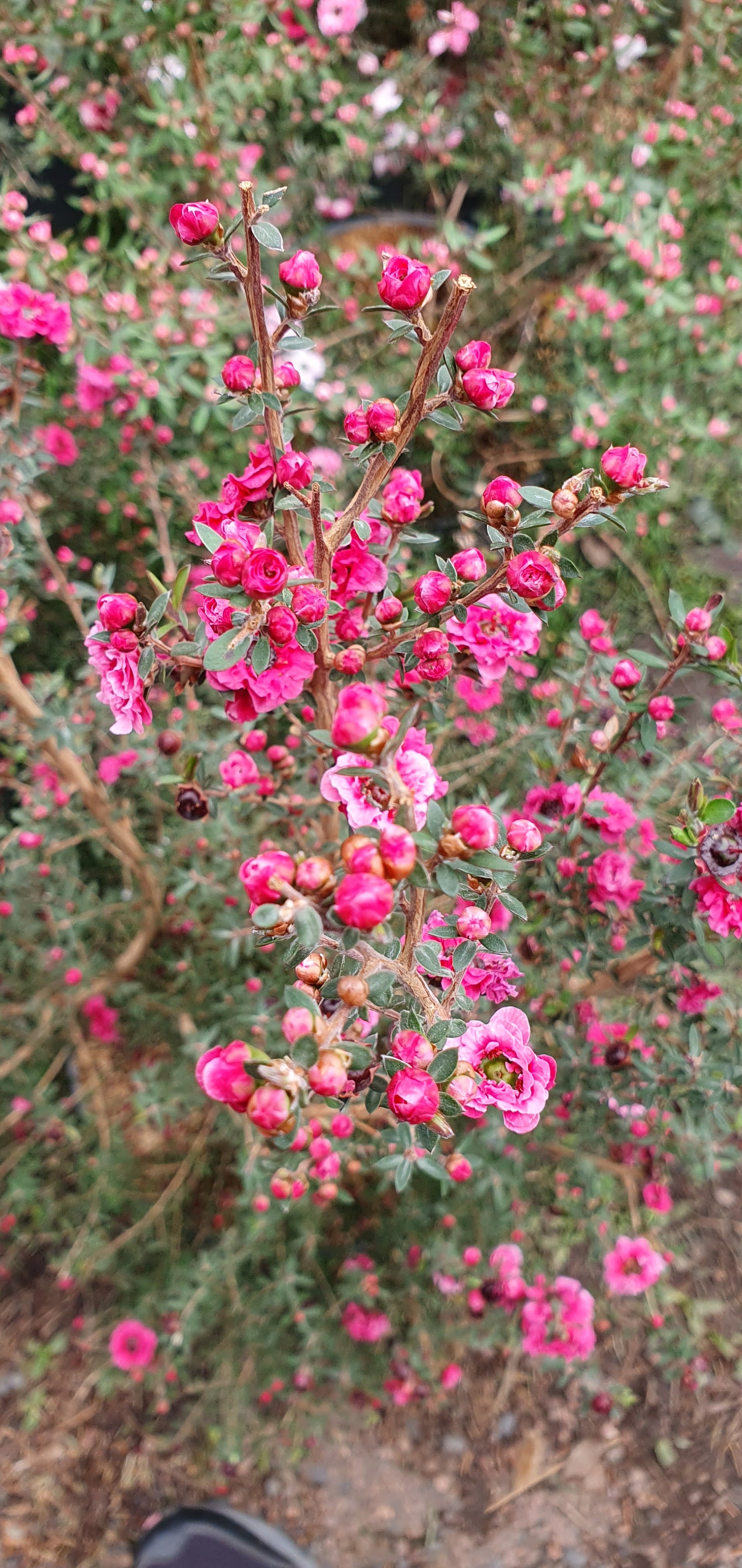 Photo n° 3 de l'avis de Christine.e fait le 01/04/2023 à 13:46