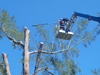 Castro Brothers Landscaping Corp - Photo 3 - Car repair in , Lehigh Acres