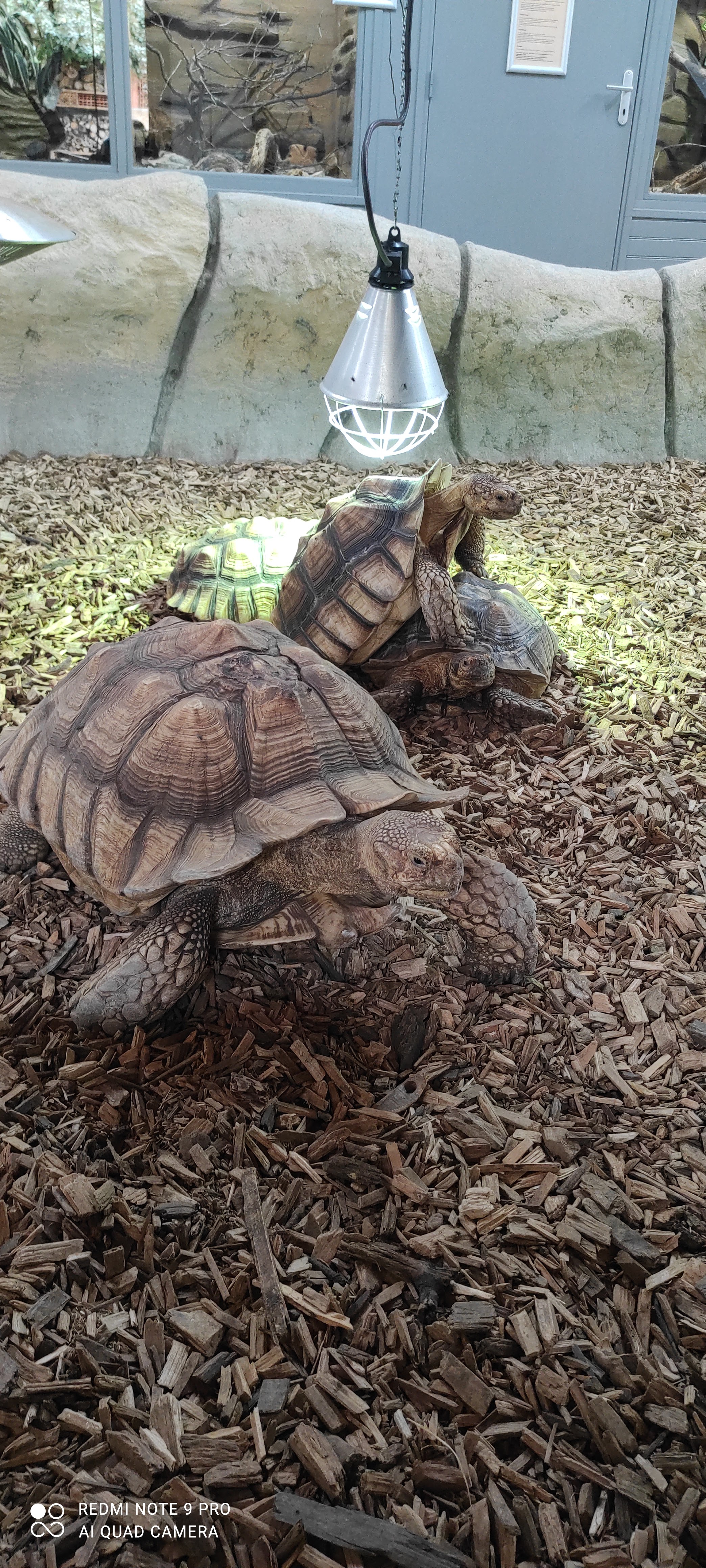 Photo n° 5 de l'avis de Stephane.S fait le 01/06/2021 à 13:52