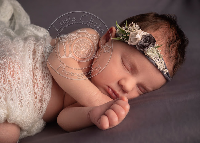 Reviews of Little Clicks Photography in Christchurch - Photography studio