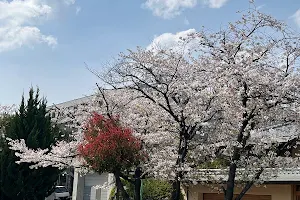 Otsuka Park image