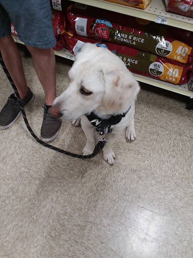 Pet Supply Store «PetSmart», reviews and photos, 5005 S 74th St, Greenfield, WI 53220, USA