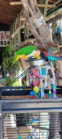 Fazzio's Home & Farm Center - Photo 6 - Car repair in Gulfport, MS, Gulfport