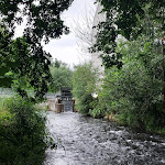 Photo n°1 de l'avis de Andreas.e fait le 27/07/2023 à 11:06 sur le  Maustmühle à Teichland