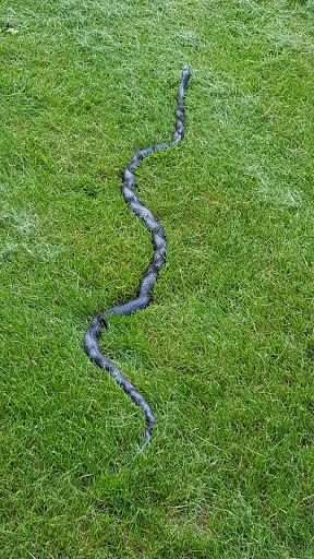 Park «Big Creek Park», reviews and photos, 1600 Old Alabama Rd, Roswell, GA 30076, USA