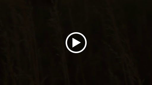 Jeweler «OSTER Jewelers», reviews and photos, 251 Steele St, Denver, CO 80206, USA