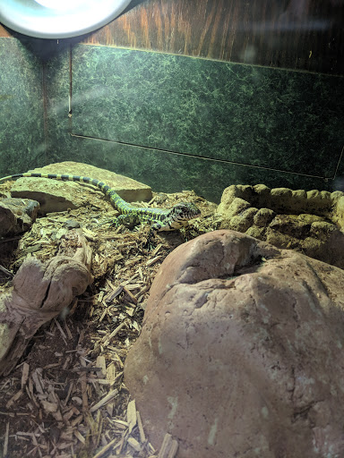Pet Store «Zookeeper Exotics», reviews and photos, 9012 Research Blvd, Austin, TX 78758, USA