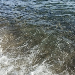 Photo n°1 de l'avis de Renato.q fait le 07/07/2022 à 13:33 sur le  La Baia del Sole à Montecorice