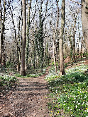 Vincent Crul Guide Baie de Somme Exploration : randonnée mystère du Bois de Cise (jeu de piste) à Ault