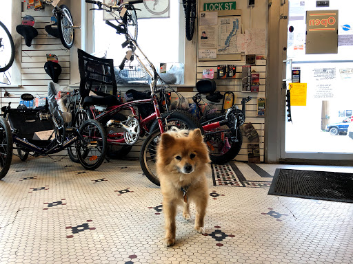 Arnold's Bikes & Embroidery