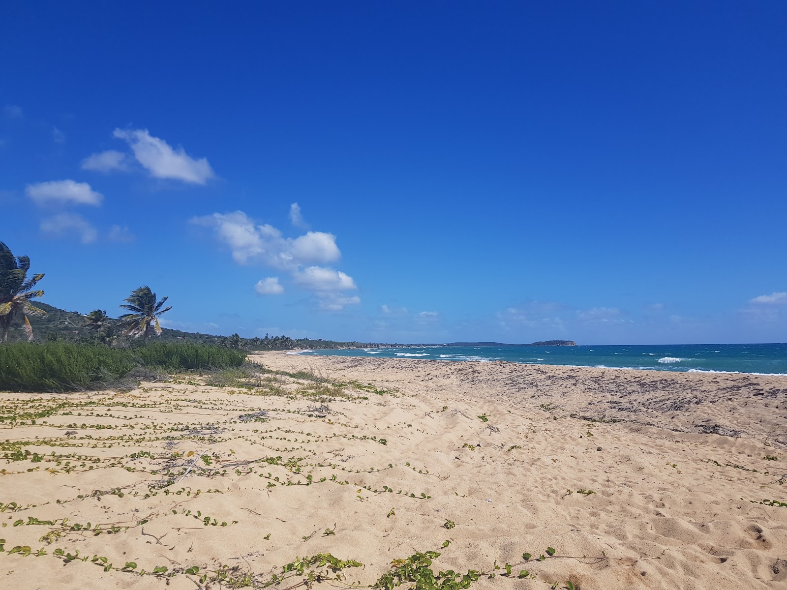 Foto di Playa Grande con parzialmente pulito livello di pulizia