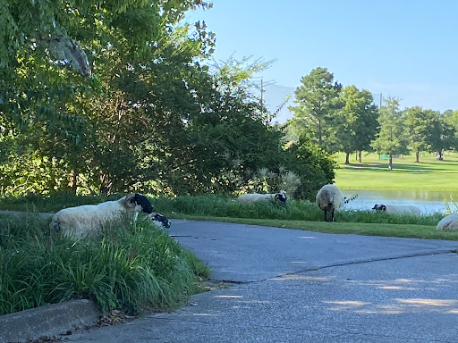 Golf Course «Hermitage Golf Course», reviews and photos, 3939 Old Hickory Boulevard, Old Hickory, TN 37138, USA