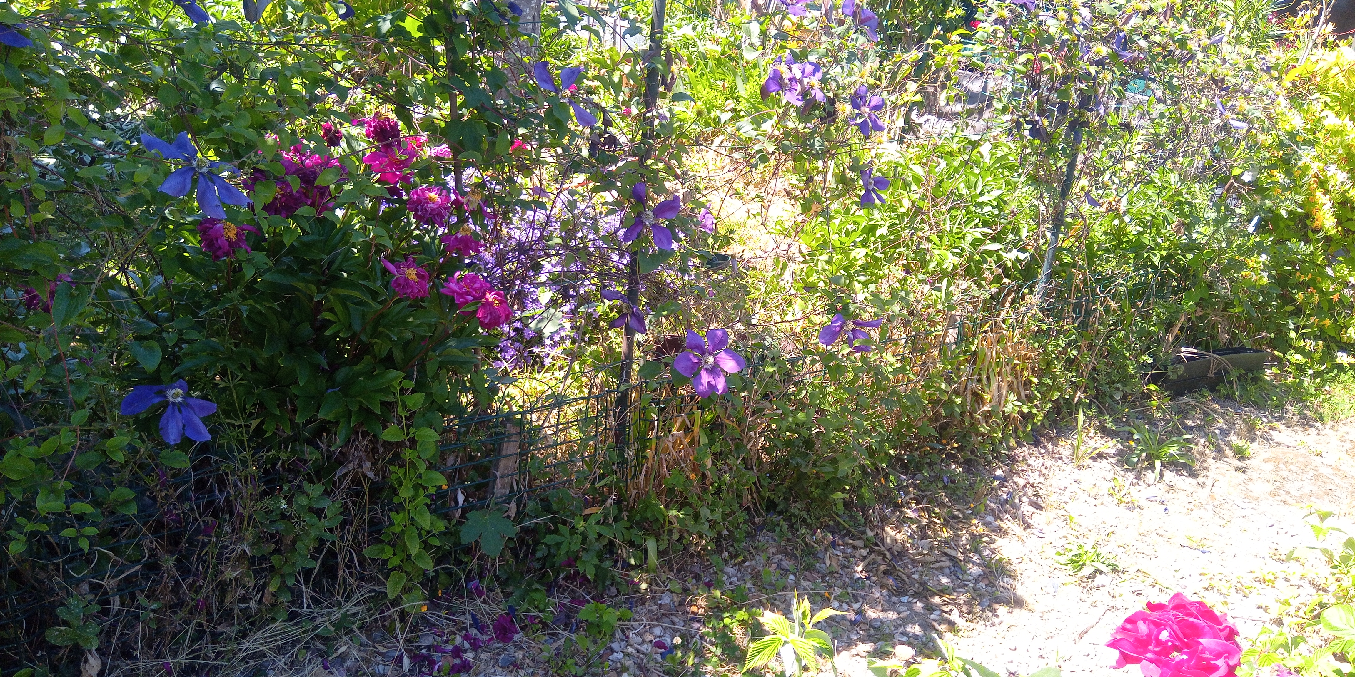 Photo n° 11 de l'avis de Didier.a fait le 29/05/2020 à 14:18