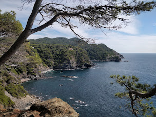 Photo n°10 de PAUL à Six-Fours-les-Plages ()