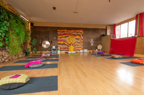 Cours de yoga CENTRE DE YOGA SRUTHI - Bouillon Marion Caen